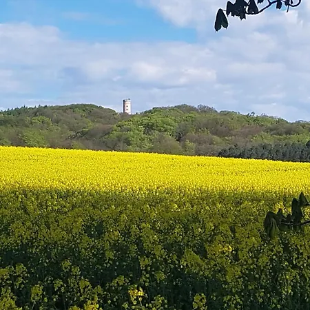 Schwedenhaus 公寓 *